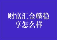 财富汇金麟稳享：稳健投资策略的领航者