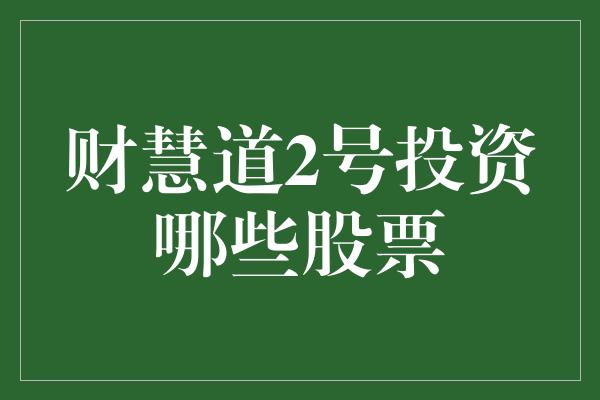 财慧道2号投资哪些股票