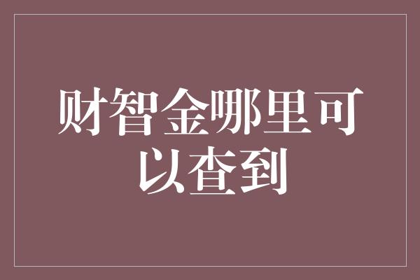 财智金哪里可以查到