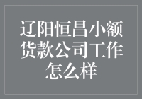 辽阳恒昌小额货款公司工作评价：一份稳定的职业选择