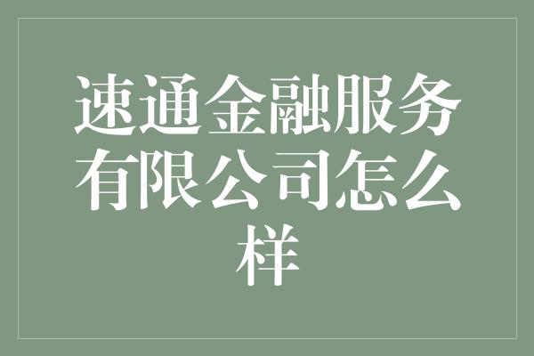 速通金融服务有限公司怎么样