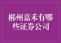 郴州嘉禾：证券公司的多元化布局与市场优势