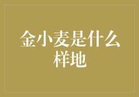 金小麦：扎根于历史的土地，绽放出耀眼的光芒