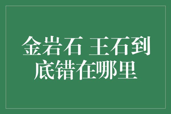 金岩石 王石到底错在哪里