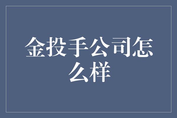 金投手公司怎么样