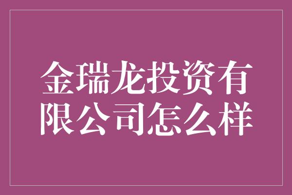 金瑞龙投资有限公司怎么样