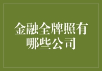 金融全牌照公司：构建金融生态系统的新标杆