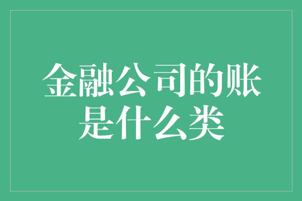 金融公司的账是什么类