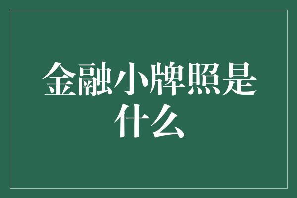 金融小牌照是什么