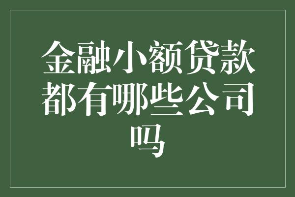 金融小额贷款都有哪些公司吗