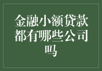 金融小额贷款有哪些公司？