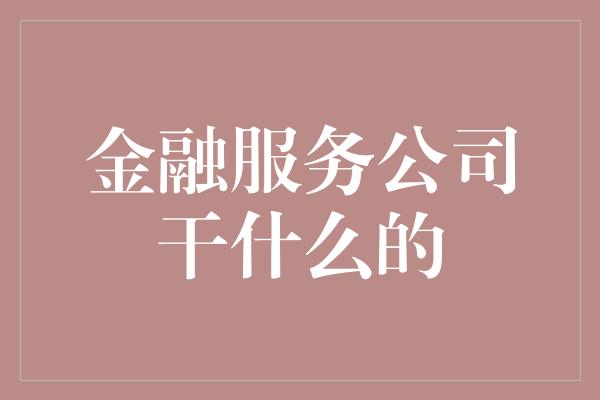 金融服务公司干什么的