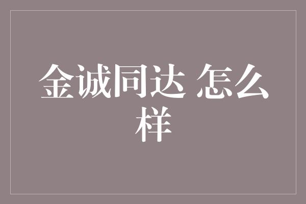 金诚同达 怎么样