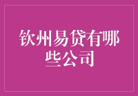 钦州易贷：带你走进借钱不求人的奇幻世界