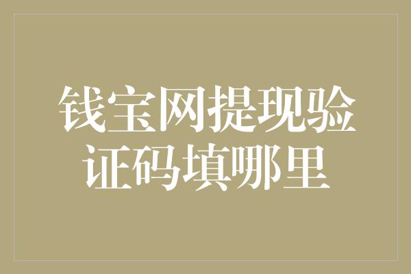 钱宝网提现验证码填哪里