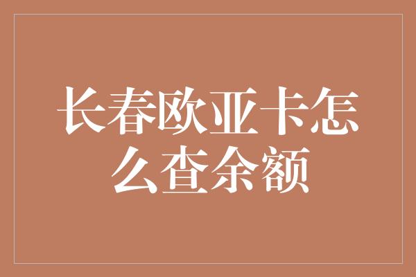 长春欧亚卡怎么查余额