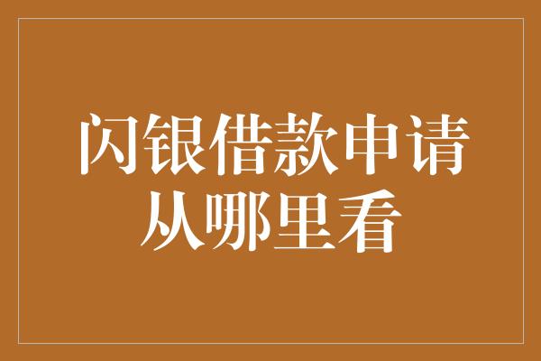 闪银借款申请从哪里看