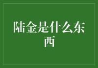 陆金：金融行业中的新星与风险