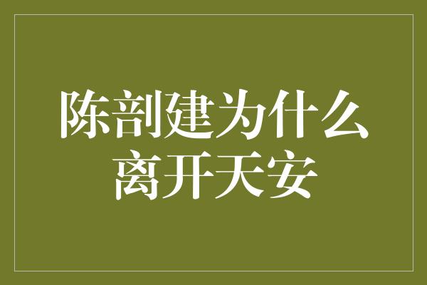 陈剖建为什么离开天安