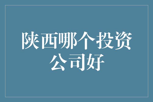 陕西哪个投资公司好