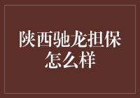 陕西驰龙担保在中国金融市场上的角色与影响