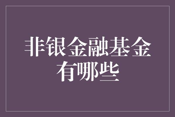 非银金融基金有哪些