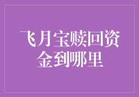 飞月宝赎回资金到哪里？揭秘背后的理财秘密