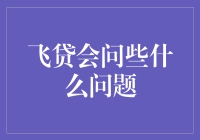 飞贷：针对不同申请人的精准风险评估与咨询服务