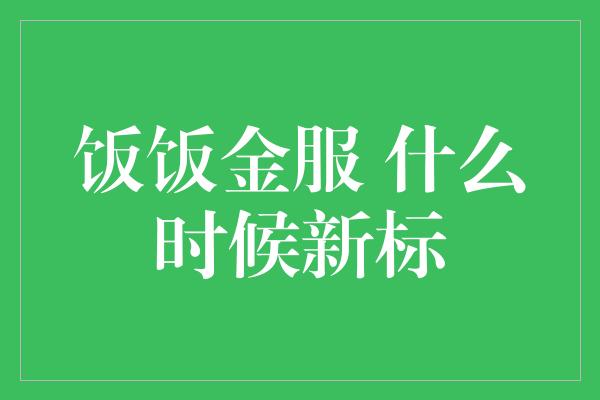 饭饭金服 什么时候新标