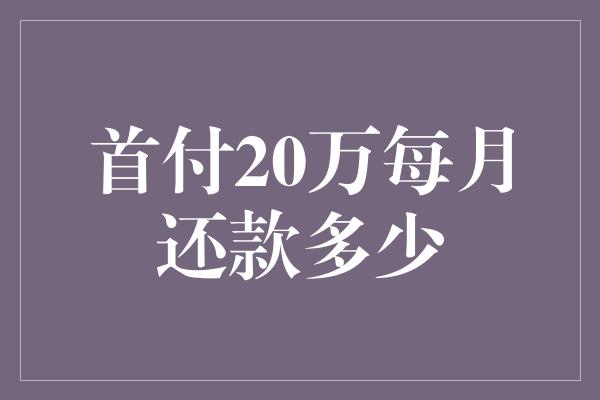 首付20万每月还款多少