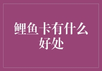 鲤鱼卡：让生活更便捷的数字支付工具