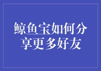 鲸鱼宝：探索更多社交可能，分享与好友的精彩瞬间