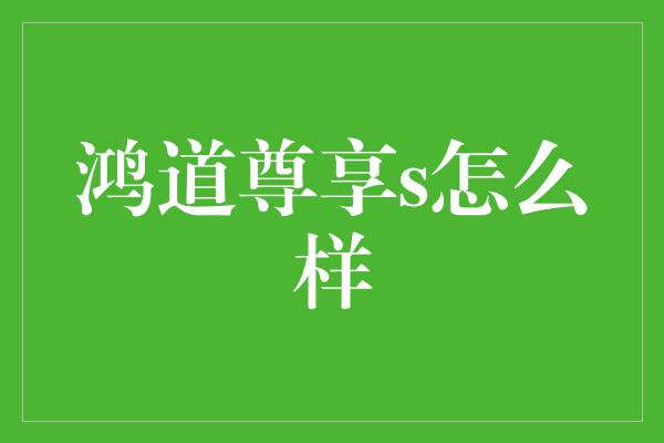 鸿道尊享s怎么样