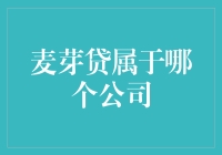 麦芽贷：与度小满金融的不解之缘