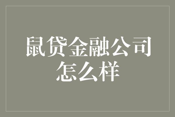 鼠贷金融公司怎么样