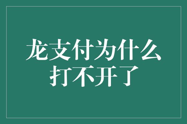 龙支付为什么打不开了