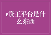 探秘金融科技：e贷王平台深度解析