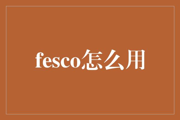 fesco怎么用