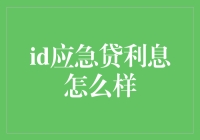 应急贷利息解析：理解背后的经济逻辑与风险评估