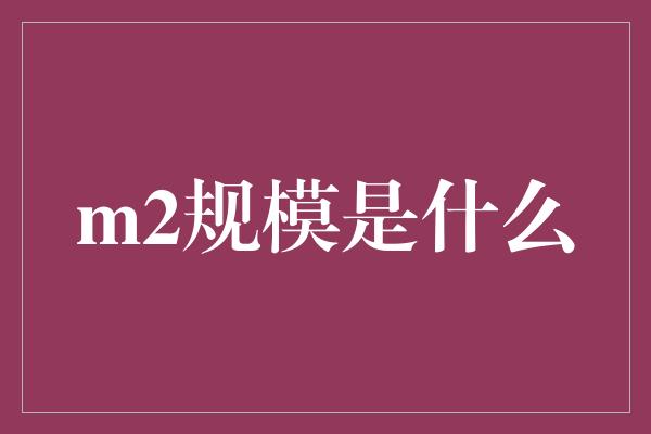 m2规模是什么