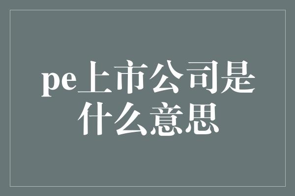 pe上市公司是什么意思