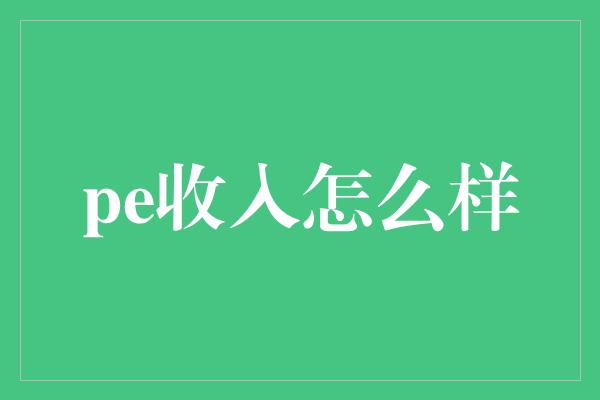 pe收入怎么样