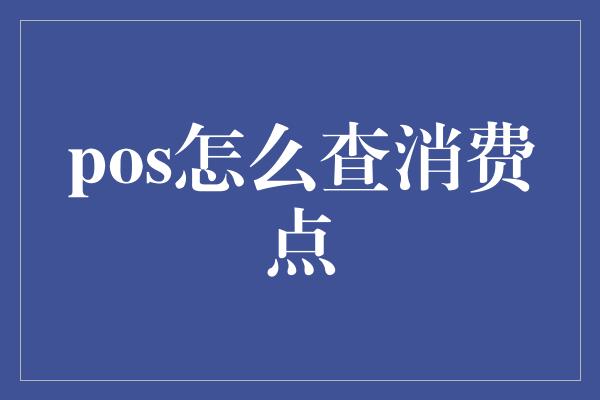 pos怎么查消费点