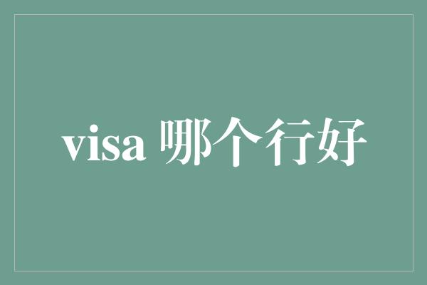 visa 哪个行好